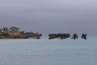 The Dry Tortugas