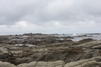 Stormy Kaikoura